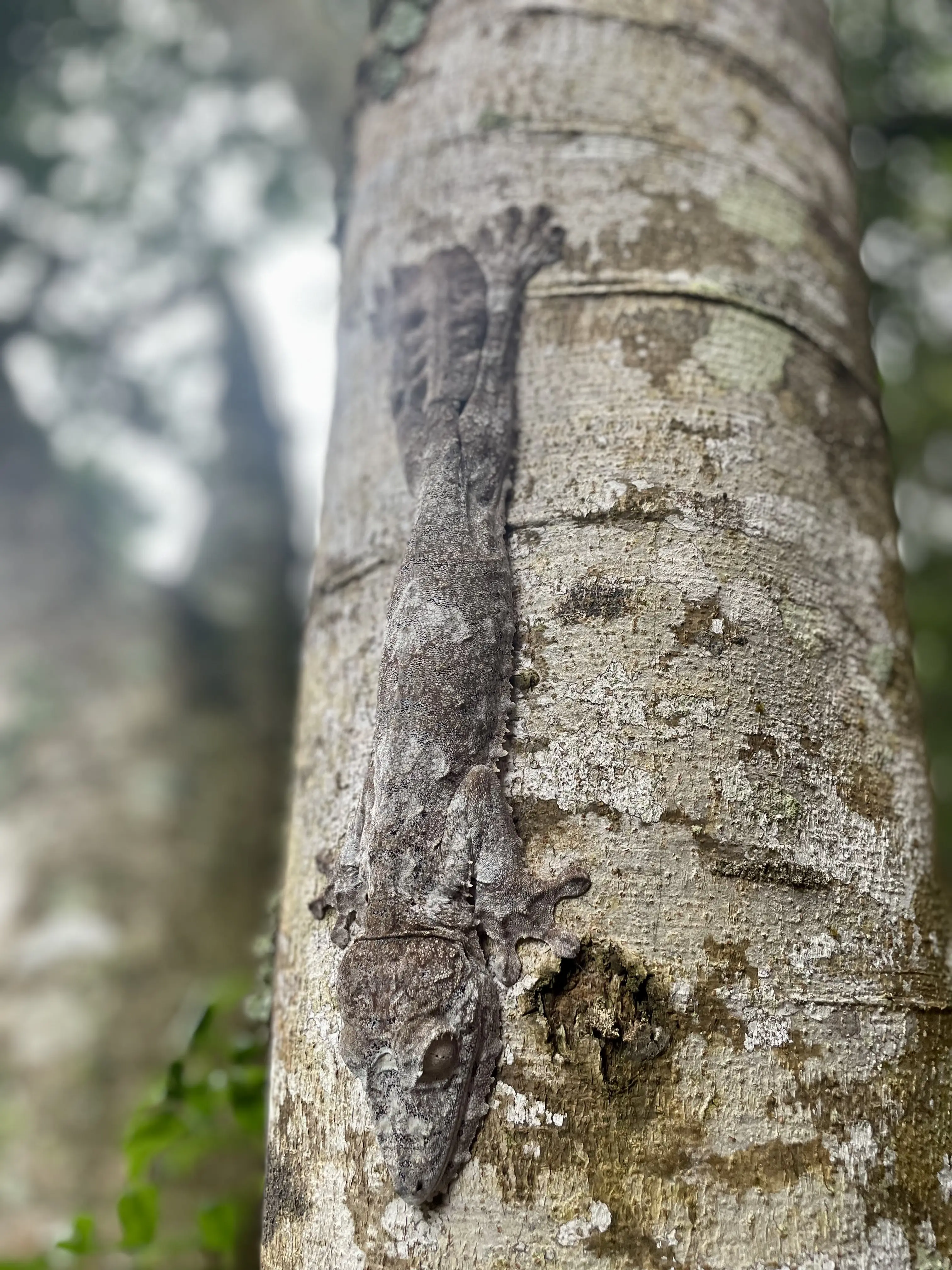 Playing Catch Up (2020-2024)